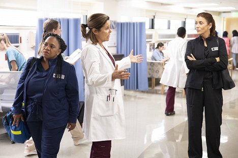 Chandra Wilson, Kate Walsh - Grey's Anatomy - When I Get to the Border - Photos