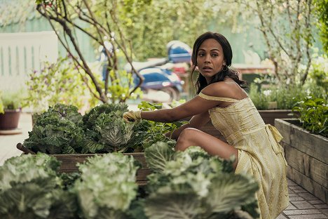 Zoe Saldana - From Scratch - Heirlooms - Photos