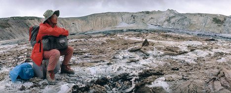 Katia Krafft - Au coeur des volcans : Requiem pour Katia et Maurice Krafft - Film