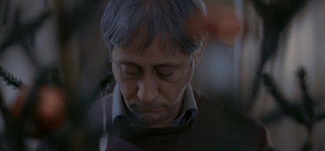 Áron Dimény - Missing Light - De la película