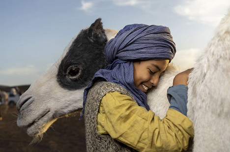 Yassir Drief - Tehu - Egy kis teve nagy kalandja - Filmfotók