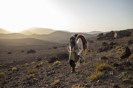 Yassir Drief - Zodi a Tehu: Princovia púšte - Z filmu