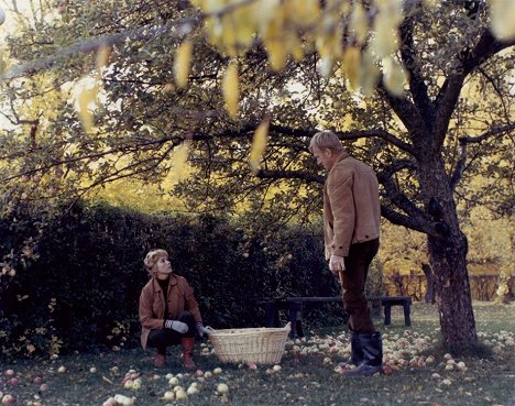 Bibi Andersson, Max von Sydow - Le Lien - Film