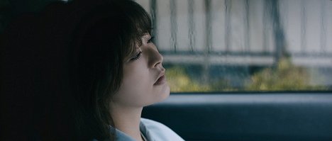Shihori Kanjiya - Share no hósoku - Film