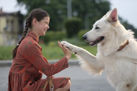 Liliana Zajbert - O psovi, který jezdil na železnici - Z filmu