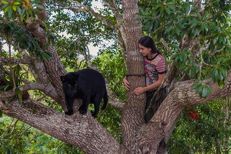 Lumi Pollack - Autumn and the Black Jaguar - Photos