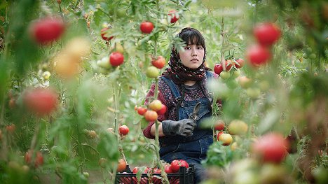 Hamideh Jafari - V zemi našich bratrů - Z filmu