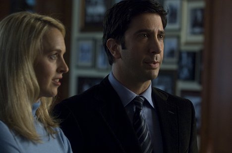 David Schwimmer - Nothing But the Truth - Photos