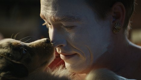 Caleb Landry Jones - DogMan - A kutyák ura - Filmfotók