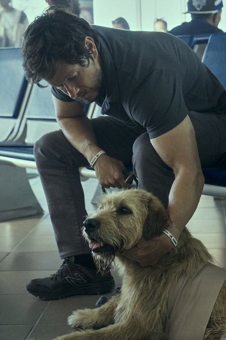 Mark Wahlberg, pes Ukai - Mój pies Artur - Z filmu