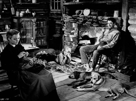 Jane Wyman, Claude Jarman Jr., Gregory Peck - The Yearling - Filmfotók
