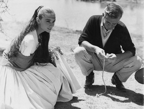 Audrey Hepburn, James Hill - Le Vent de la plaine - Tournage