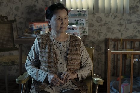Kiều Chinh - Sympatizant - Miluj ji, nebo táhni - Z filmu