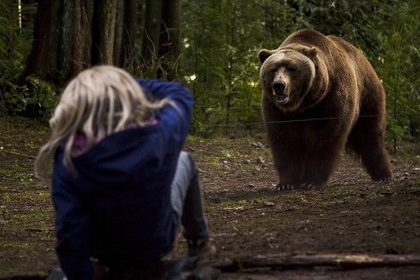Bart the Bear - Into the Grizzly Maze - Photos