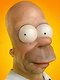 HomerStipe