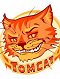 Tomcat98