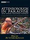 A természeti világ - Attenborough in Paradise