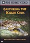 Capturing the Killer Croc