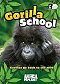 Die Gorilla-Schule