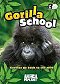 Gorilla School