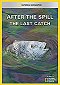 After the Spill: The Last Catch