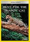 Der Jaguar - Herrscher des Dschungels