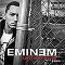 Eminem feat. Rihanna: Love the Way You Lie