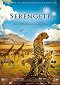Dobrodružství v Serengeti