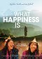 What Happiness Is - Auf der Suche nach dem Glück