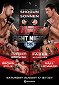 UFC Fight Night: Shogun vs. Sonnen