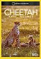 Cheetah: Fatal Instinct