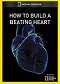 Jak vyrobit tlukoucí srdce