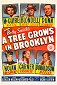 Ein Baum wächst in Brooklyn