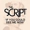 The Script: If You Could See Me Now