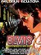 Elvis l'histoire X du King