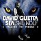 David Guetta feat. Sia - She Wolf (Falling To Pieces)