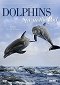 Delfíny: podmorská špionáž
