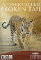 Prirodzený svet - A Tiger Called Broken Tail