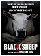 Black Sheep