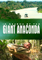 In Search of the Giant Anaconda