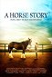 A Horse Story