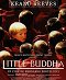 Lilla Buddha