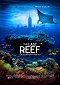 The Last Reef