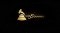 The 58th Annual Grammy Awards