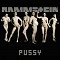 Rammstein: Pussy