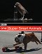 Super Smart Animals