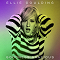 Ellie Goulding - Goodness Gracious