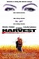 Blutige Ernte - The Harvest