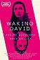 Waking David