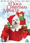 A Dog's Christmas Miracle
